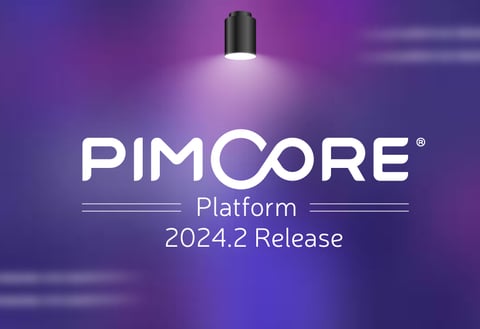 Pimcore Platform 2024.4 Release – Skynet Technologies